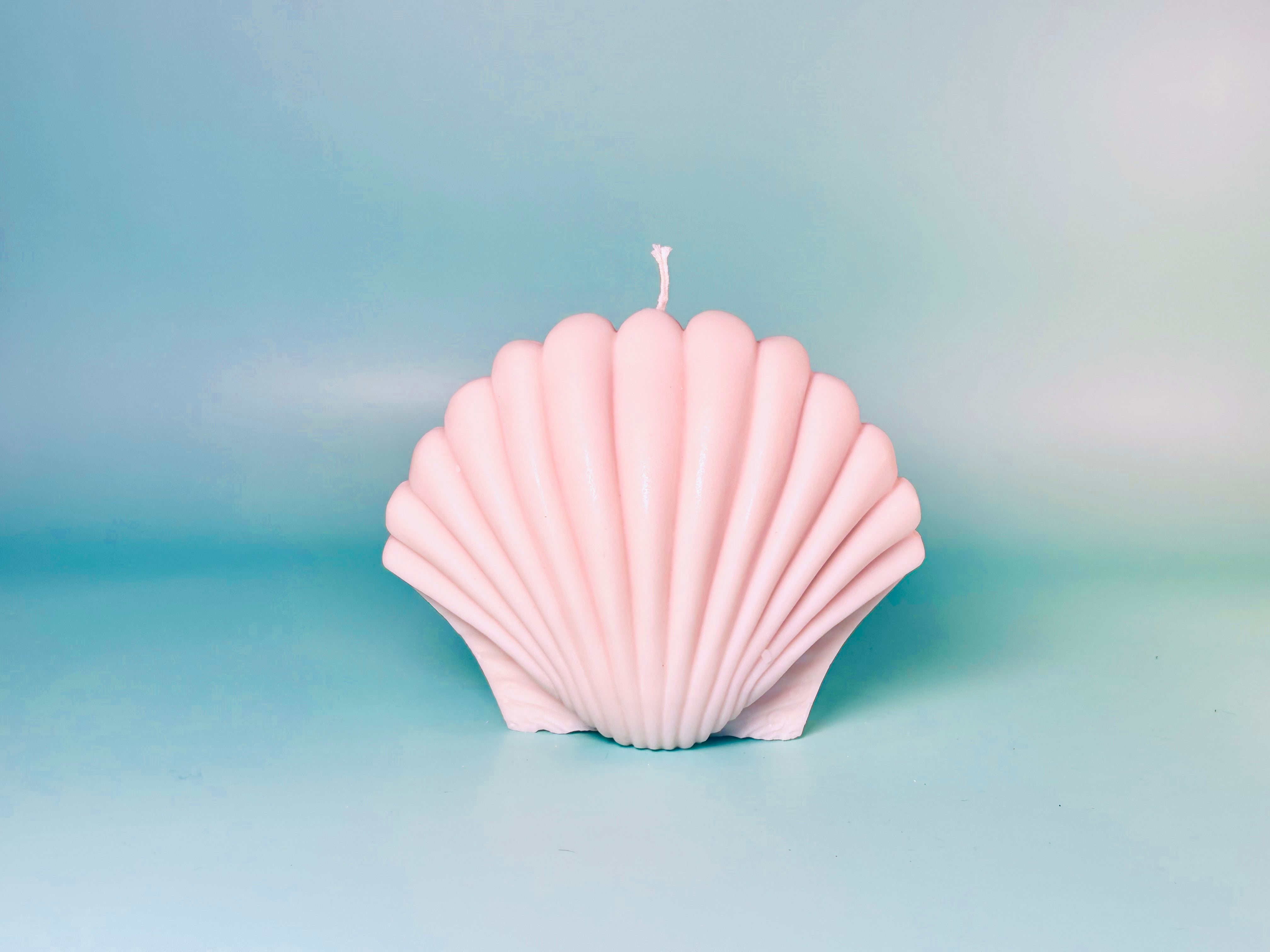 Scallop Shell Candle