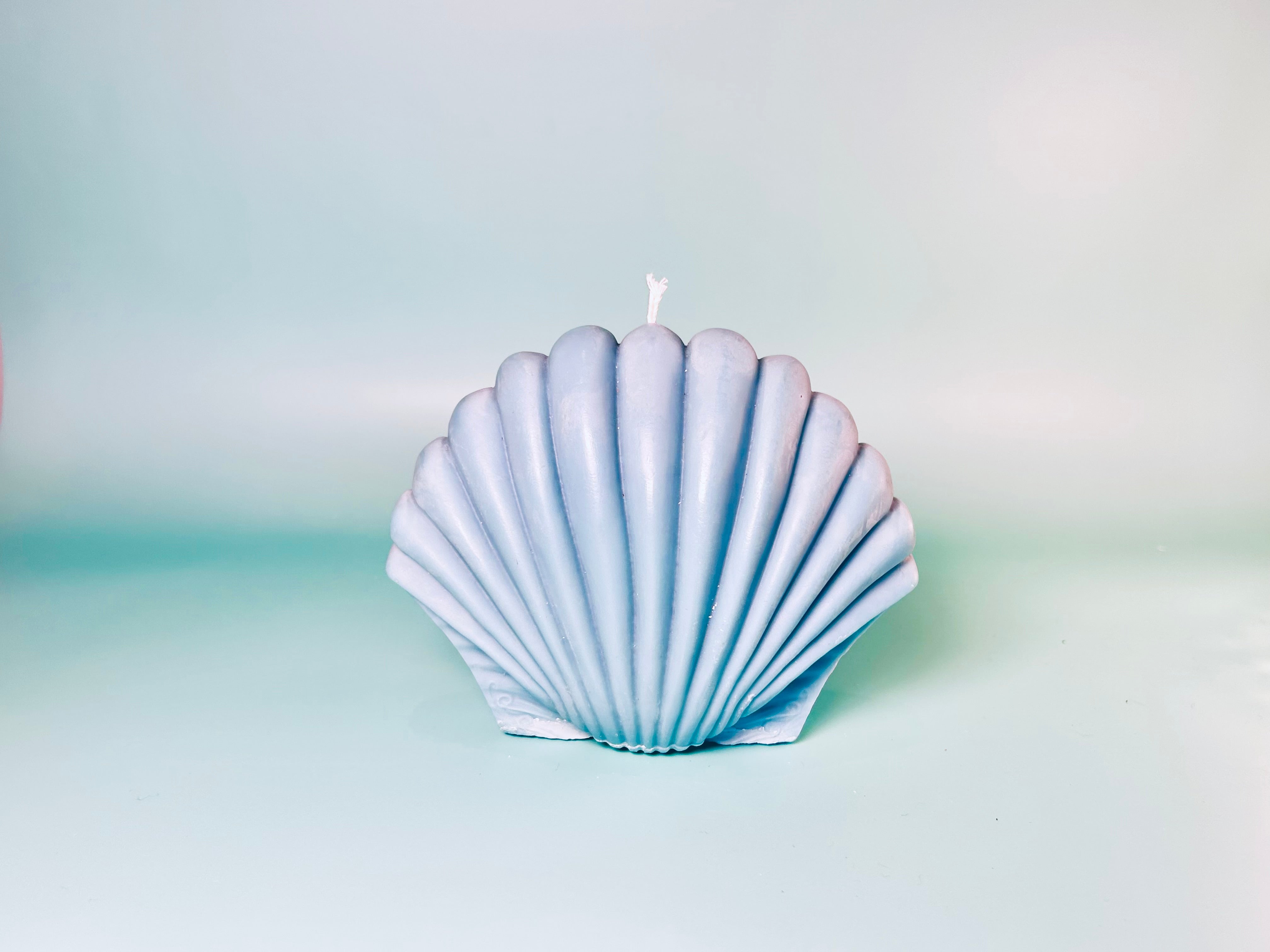 Scallop Shell Candle